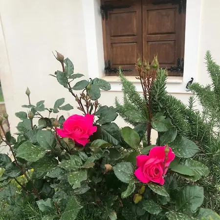 Xenonas Nikia Guest house *