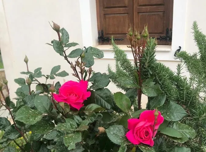 Xenonas Nikia Konukevi 3*